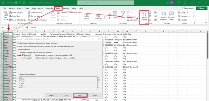 Convert Text to Columns Wizard - Step 1 of 3 2022-11-07 at 4.03.12 PM